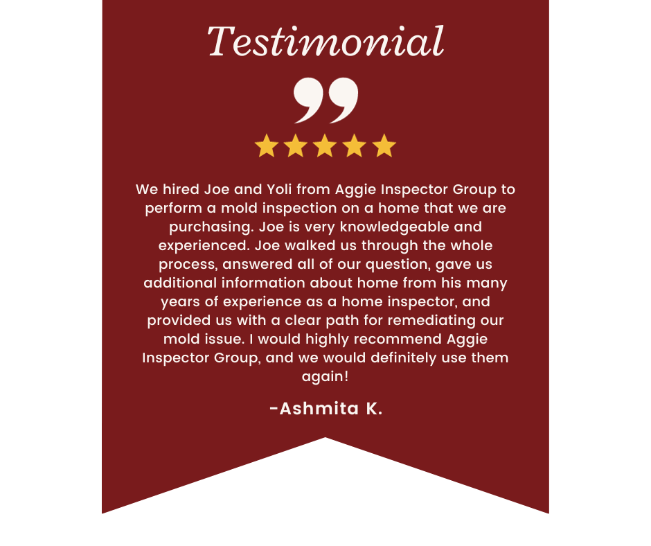 Testimonial for mold inspection company: Red background with text, quote marks, stars, and a customer review.