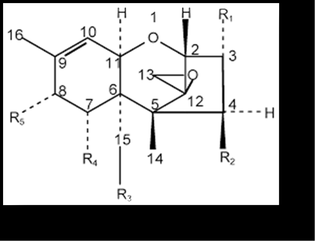 Chemical structure of a compound, labeled with numbers and R groups (substituents).