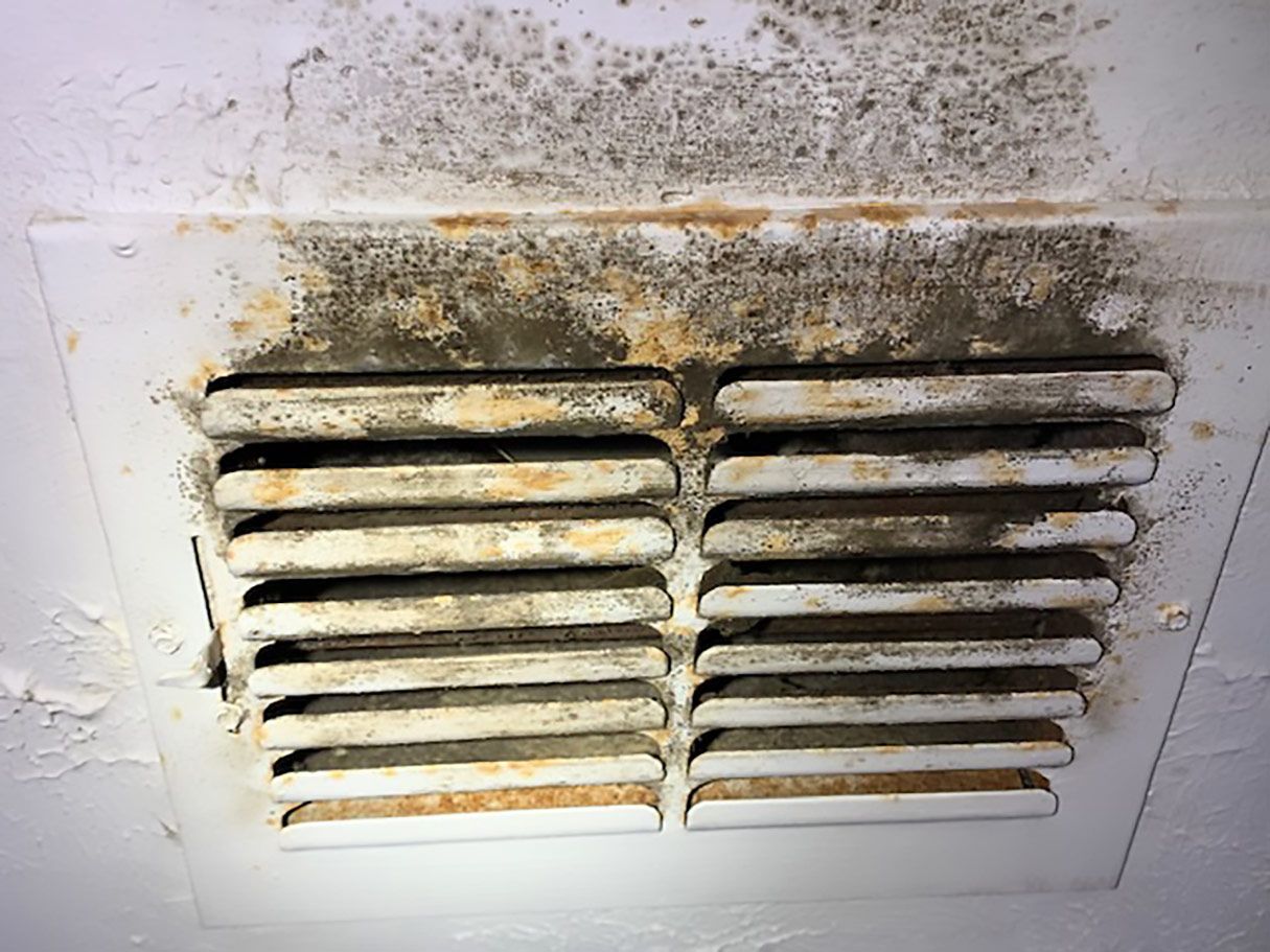Mold and grime on a white air vent cover attached to a white ceiling.