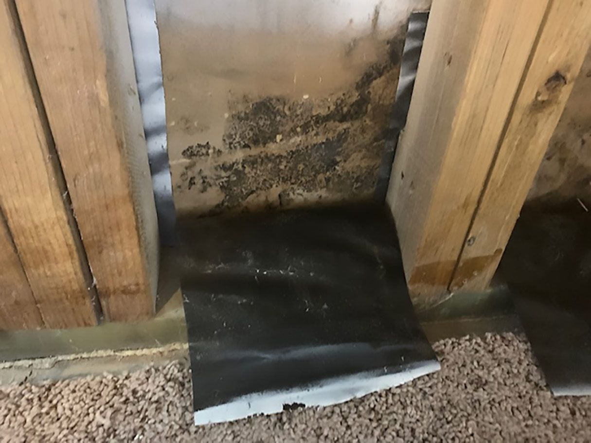 Mold growth on wall between wooden beams, with black waterproof membrane and insulation visible.