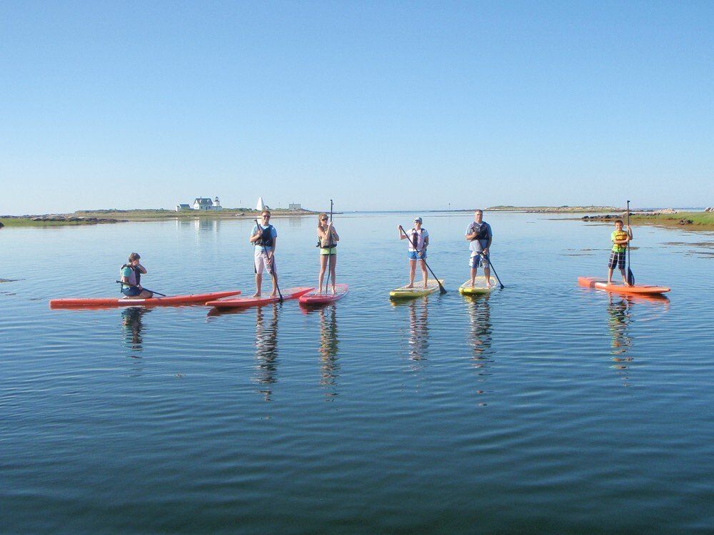 Group of people line up while on stand up paddle board