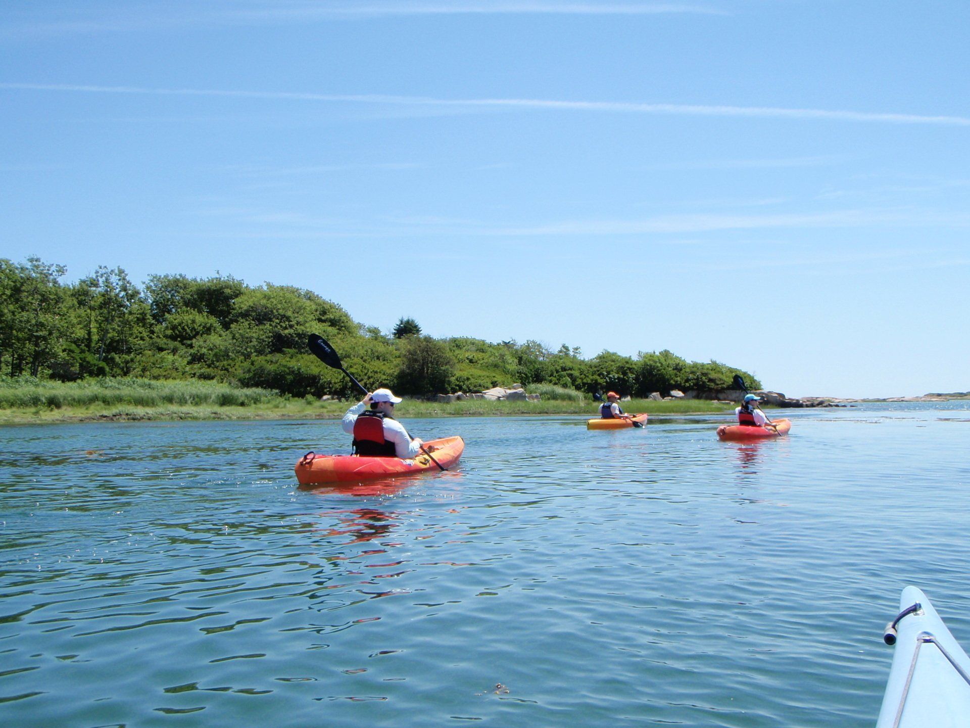 Group of people on the middle of the Maine while on red kayaks