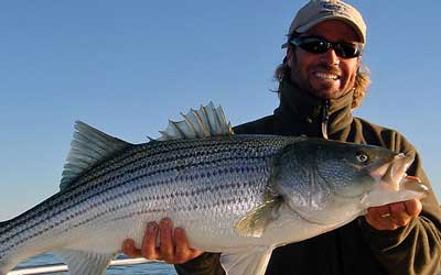 Castaway Fishing