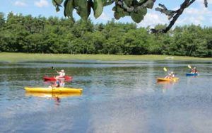 Kayaking in the middle of the Mousam River