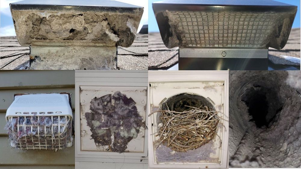 Photos of bird nests and nesting spots under building ledges, including one with a nest in a wall hole