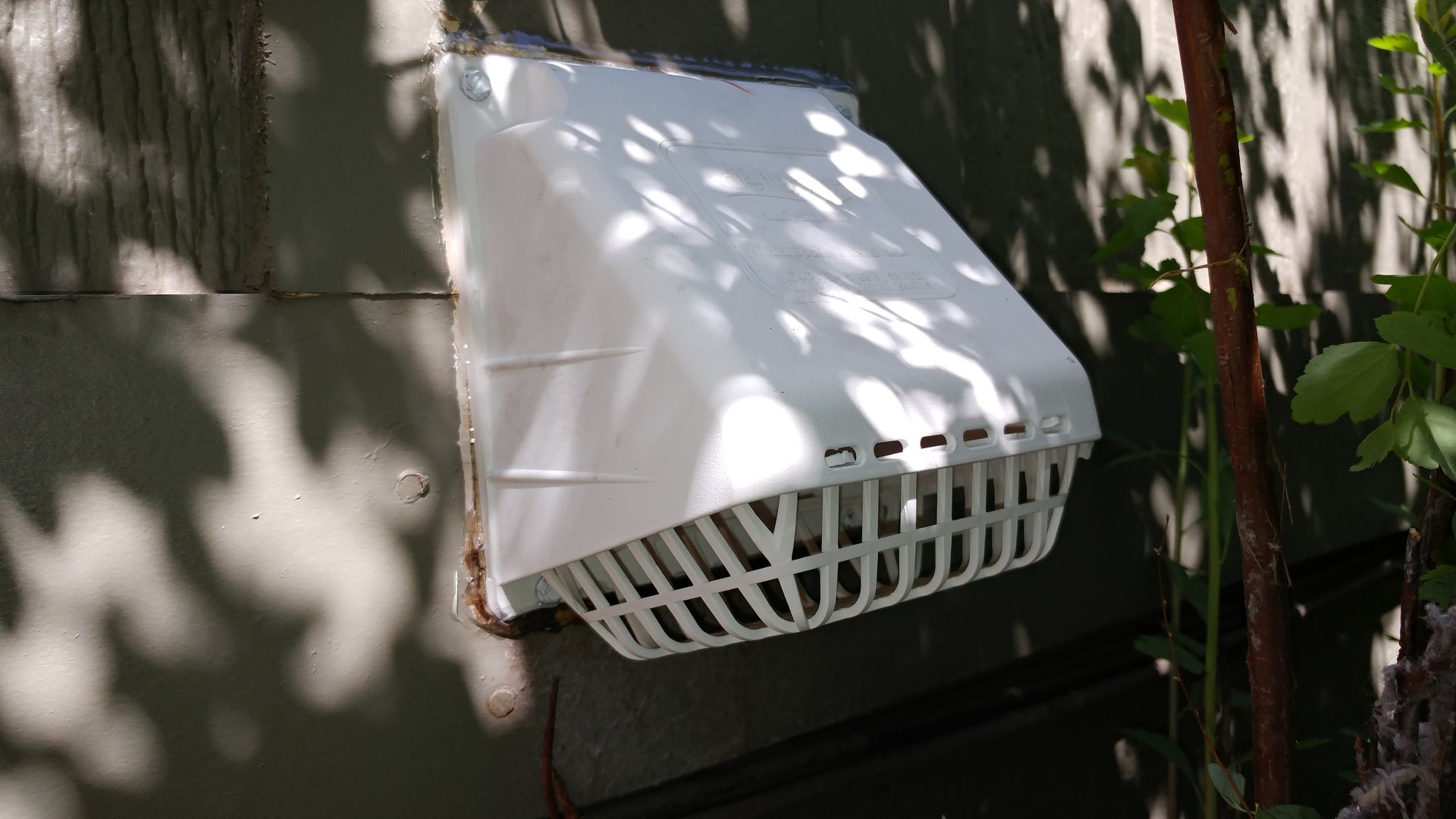 A small bird perches on a wire mesh vent cover attached to an exterior wall, which contains a nest made of dried grass.