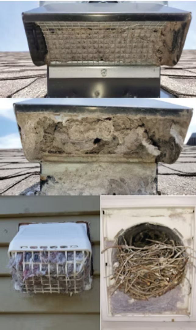 Collage of damaged building vents with nests, debris, and rust on concrete surfaces
