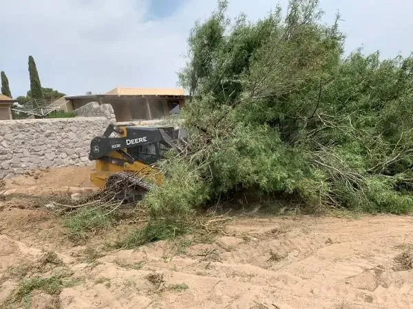 Track loader removing brush behind a residential property in Rio Grande City, TX.