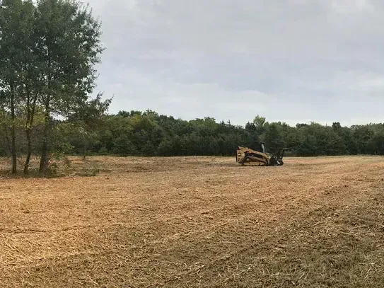 Tree mulching work near Raymondville, TX.
