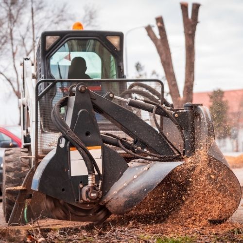 This is a picture by our Tree Surgeons Leicester of a heavy machinery clearing away debris from a tree stump removal in Leicester