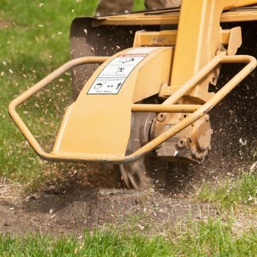 This is a picture of Tree Surgeons Leicester Tree stump Grinding using heavy machinery