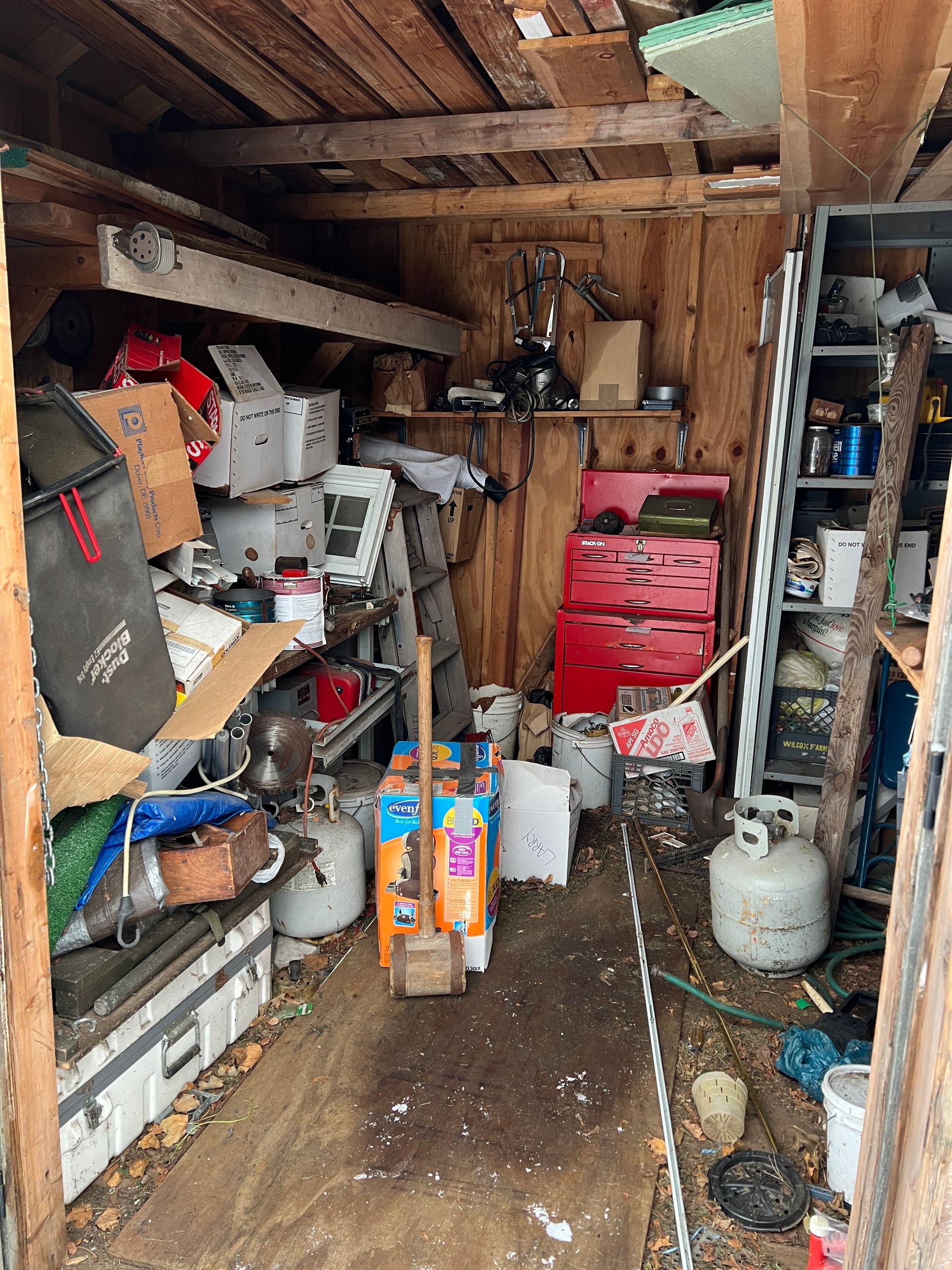 A cluttered shed full of old tools and junk. Multiple shelves and boxes all over the shed.