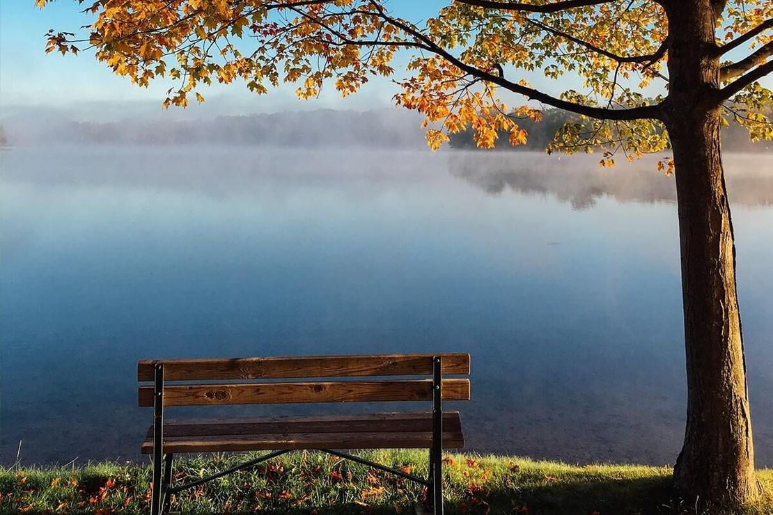 Wooden bench sits by a calm lake with autumn fog, under a tree with yellow leaves.