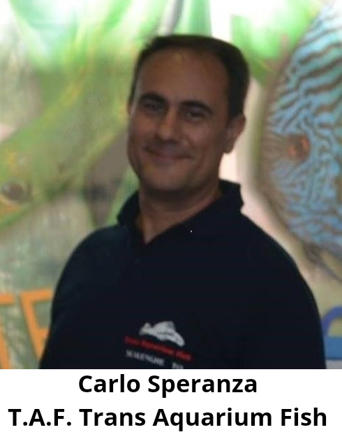 Carlo Speranza, alla guida dell'azienda di famiglia TAF dal 1994, impegnato nello sviluppo dell'acquariofilia professionale.