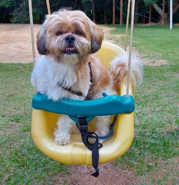 Pet Friendly