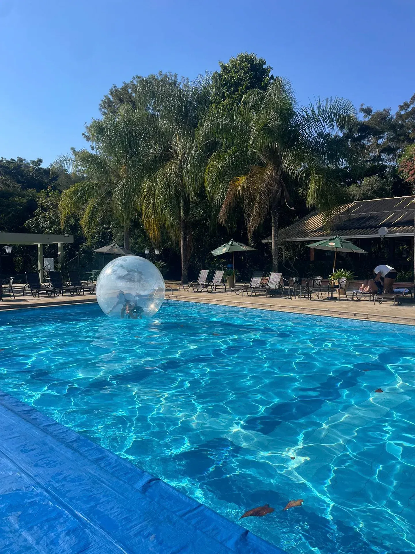 Waterball