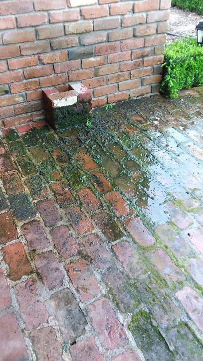 A brick patio area with pooled water and green algae growth near a brick wall and a low brick structure.