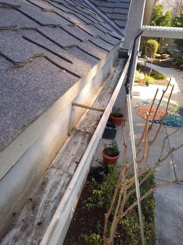 A high-angle view looking down into a long, dirty rain gutter mounted to the edge of a shingled residential roof.