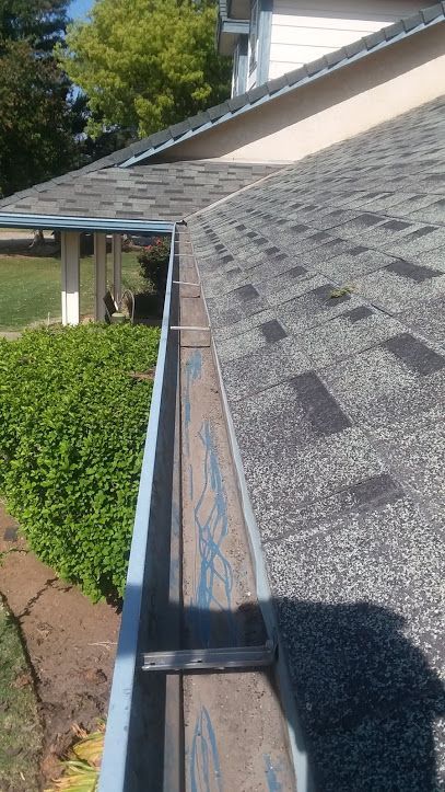 A view from a roof looking along a rain gutter filled with debris, with a house exterior and trees in the background.