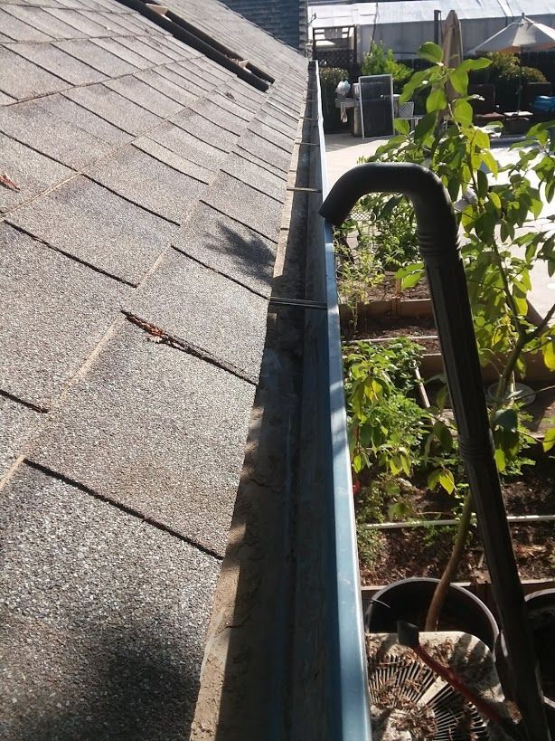 A rooftop view of a gray shingled roof and a metal rain gutter next to a garden area with a black pipe extension.