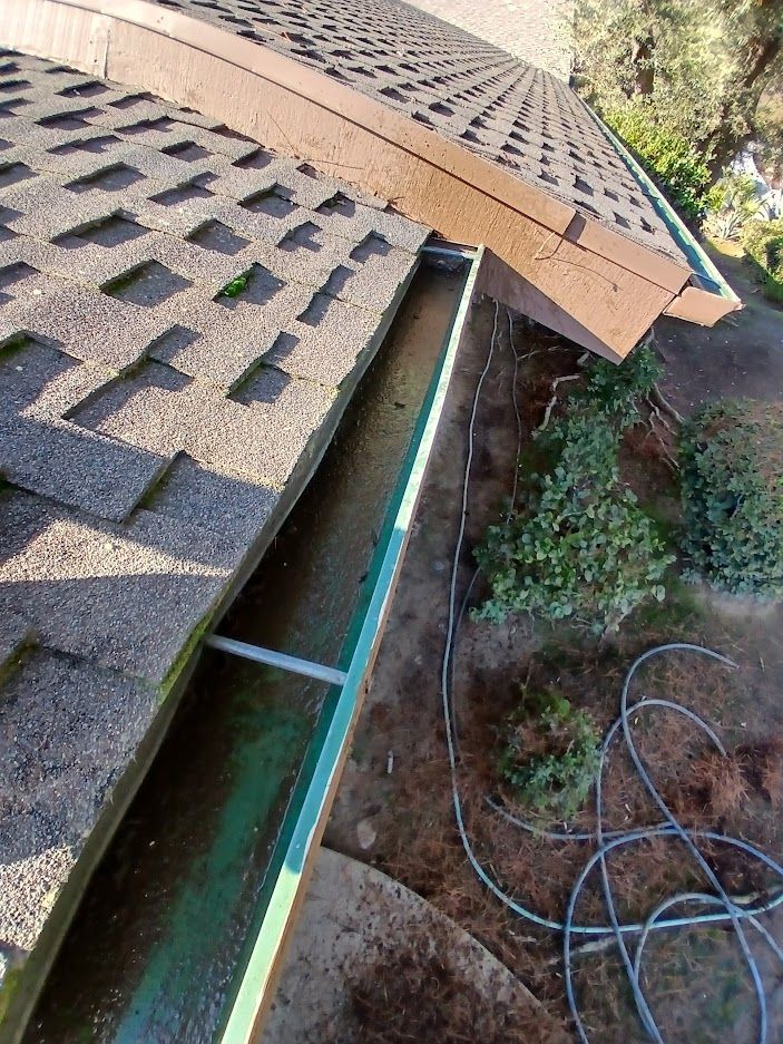 A high-angle view of a dirty, debris-filled roof gutter along the edge of a house with asphalt shingles.