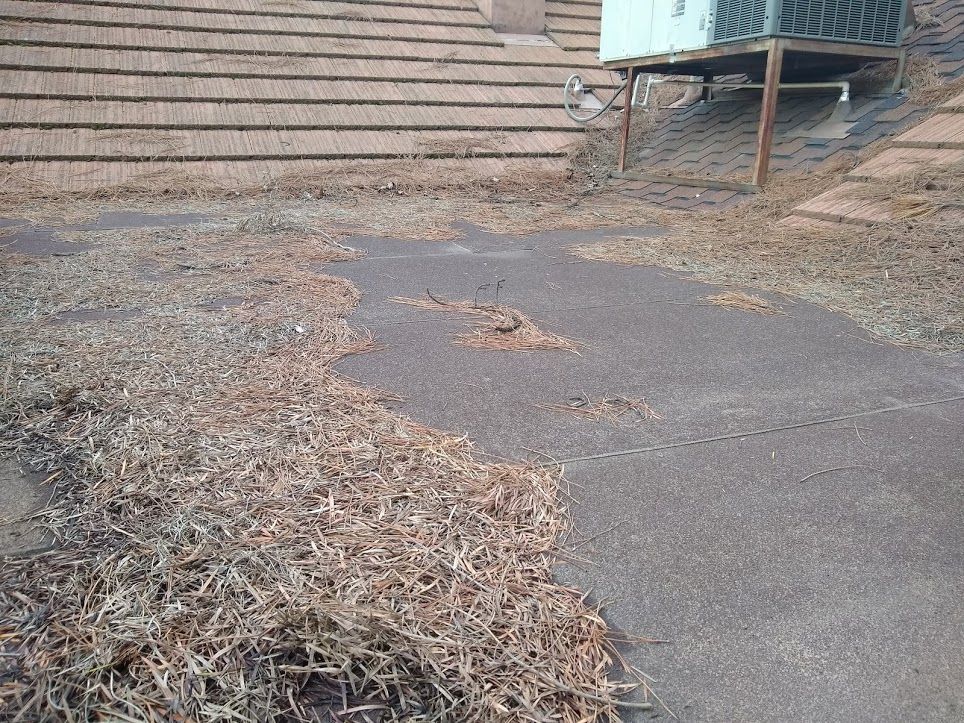A stone stairway leading to a patio covered in dried leaves and debris, with an outdoor air conditioning unit nearby.