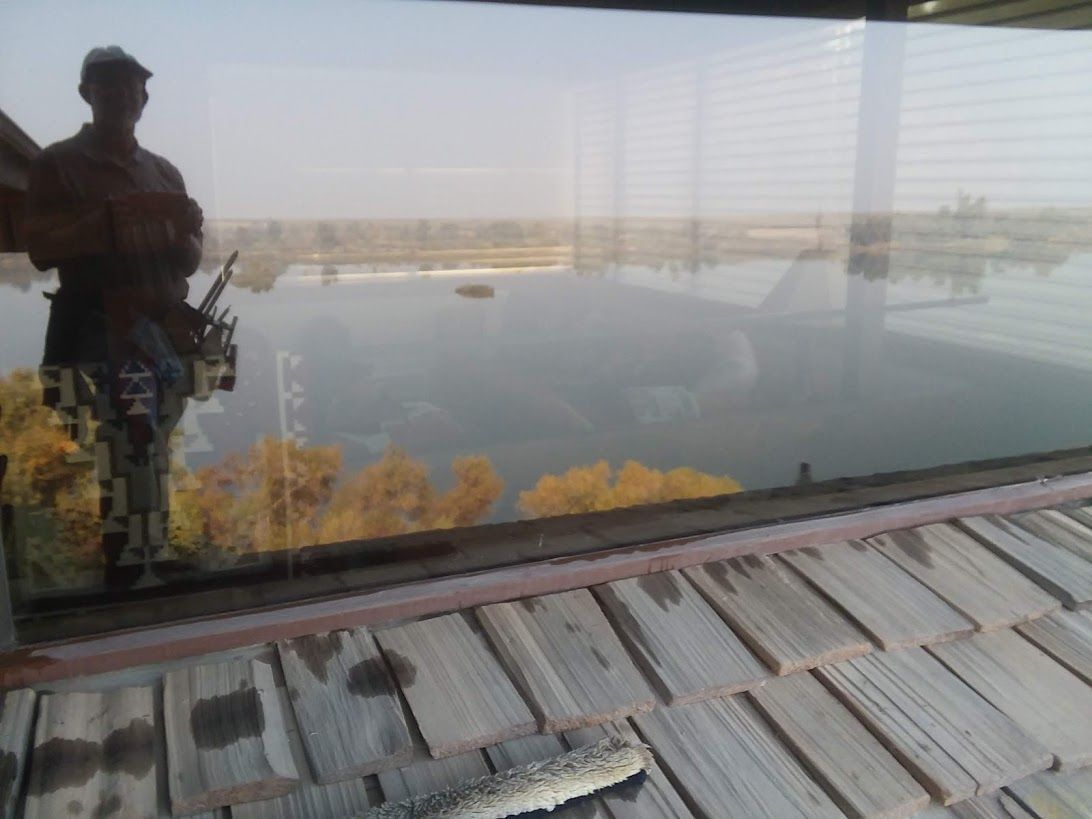 A person stands by a window overlooking a flooded landscape with trees reflecting in the water.