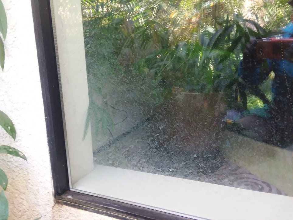 A view through a window showing a potted plant and gravel on a patio, with a reflection of a person in a blue jacket.