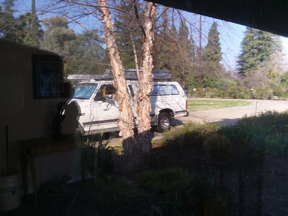 A white pickup truck with a camper shell parked on a sunny driveway behind a birch tree.