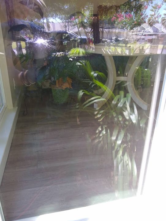 A houseplant sits on a light-colored floor behind a glass door, with a blurred view of an outdoor patio visible through it.