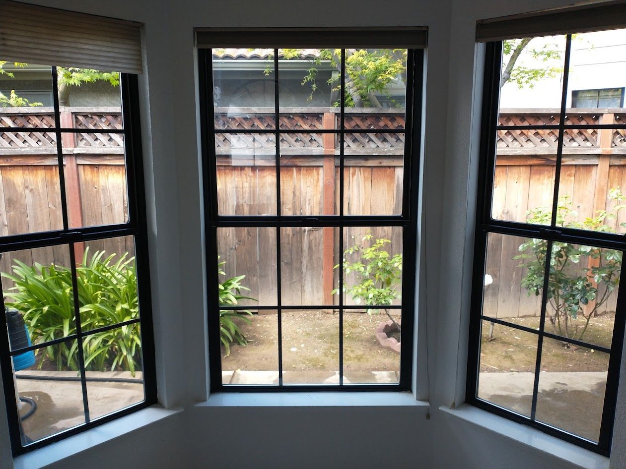 A bay window with black frames overlooking a backyard with a wooden fence and green plants.