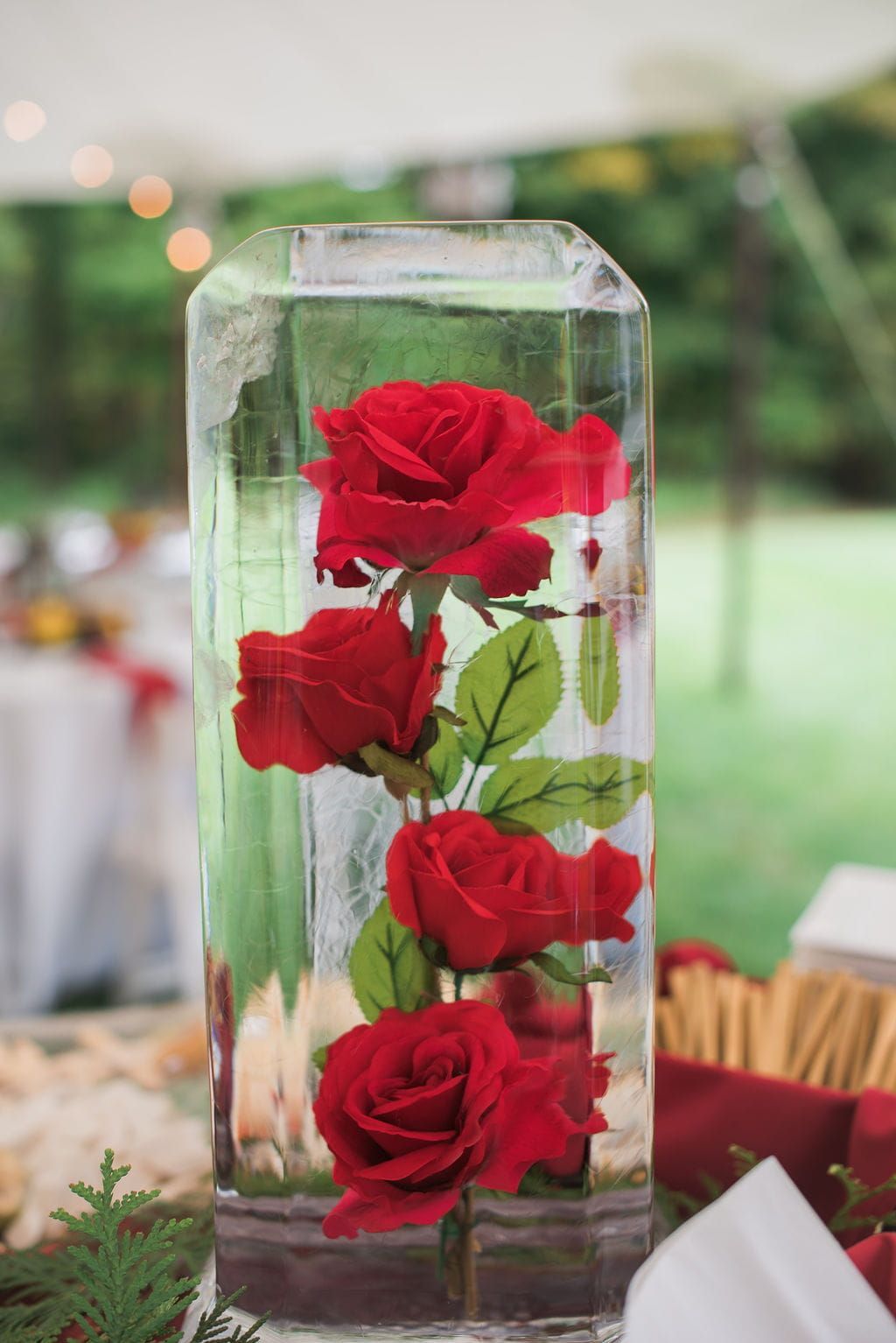 Red roses preserved in a clear rectangular glass vase on a table outdoors