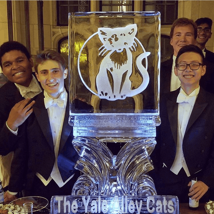 Group of students posing beside a Yale Cats trophy with a cat emblem and “The Yale Way Cats” text.