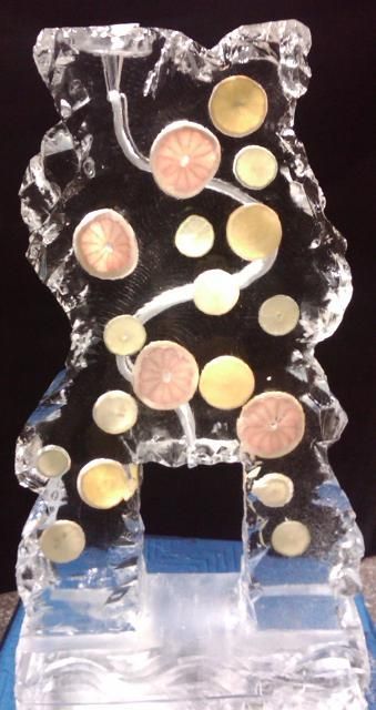 Clear glass bear-shaped sculpture with circular colored accents on a dark background