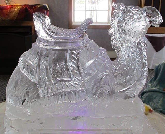 Clear ice sculpture of a camel with a saddle, displayed indoors near a window.