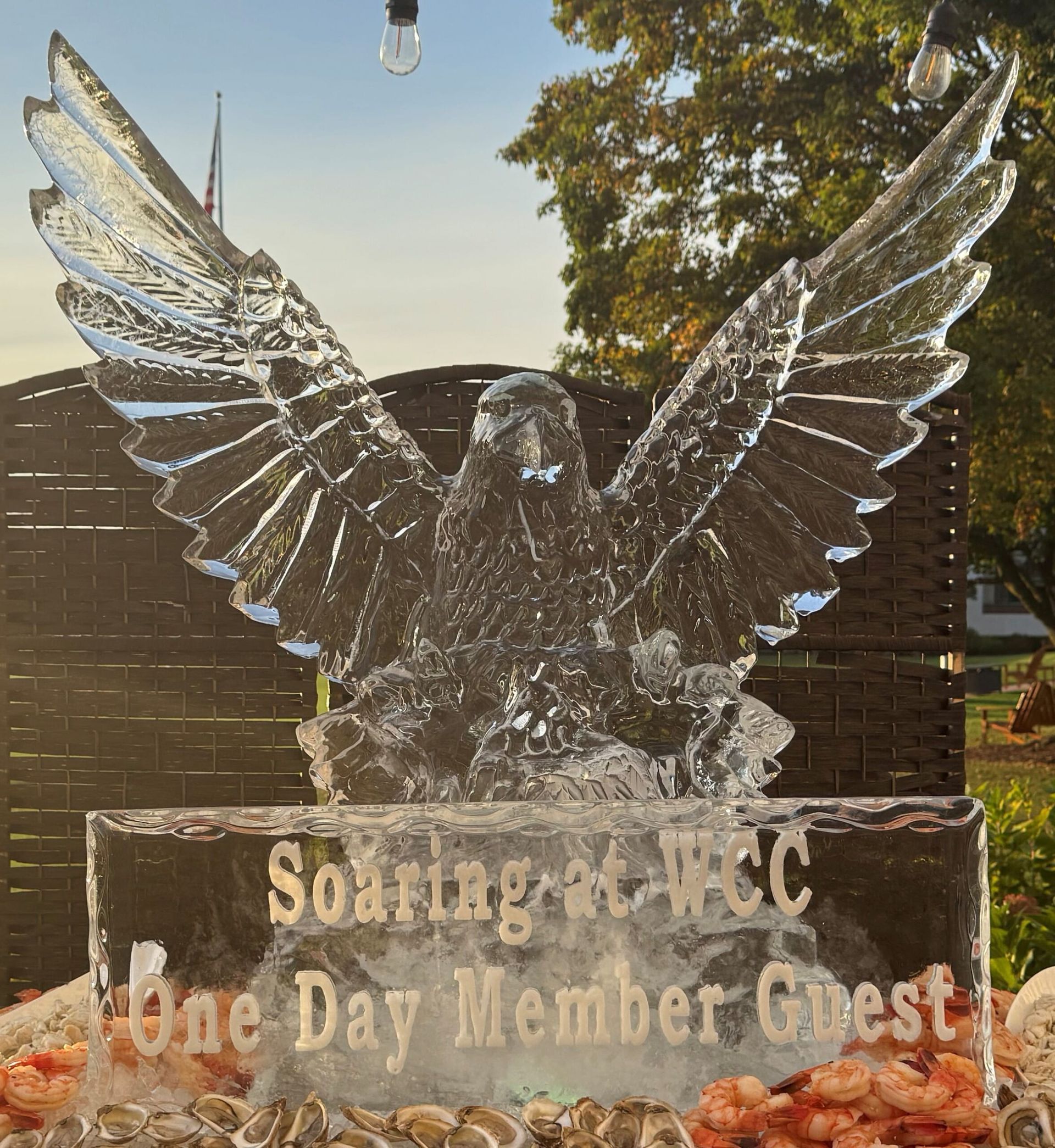Glass eagle sculpture on a memorial plaque outdoors in sunlight