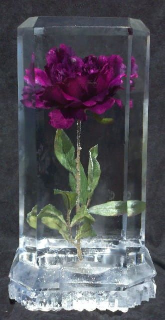 Purple flower preserved in a clear glass block against a dark background