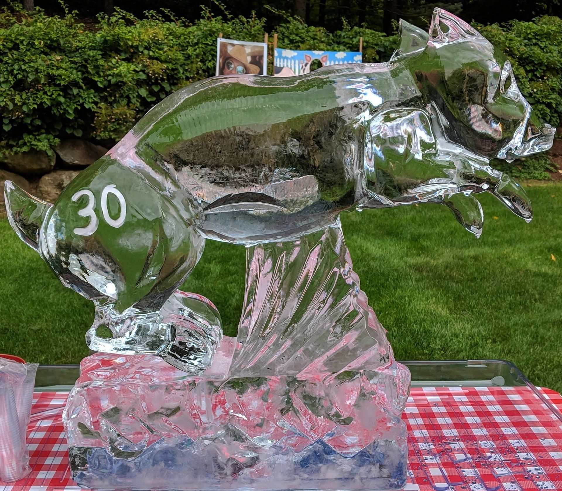 Clear ice fish sculpture with the number 30 on its side, displayed on a red checkered table outdoors.