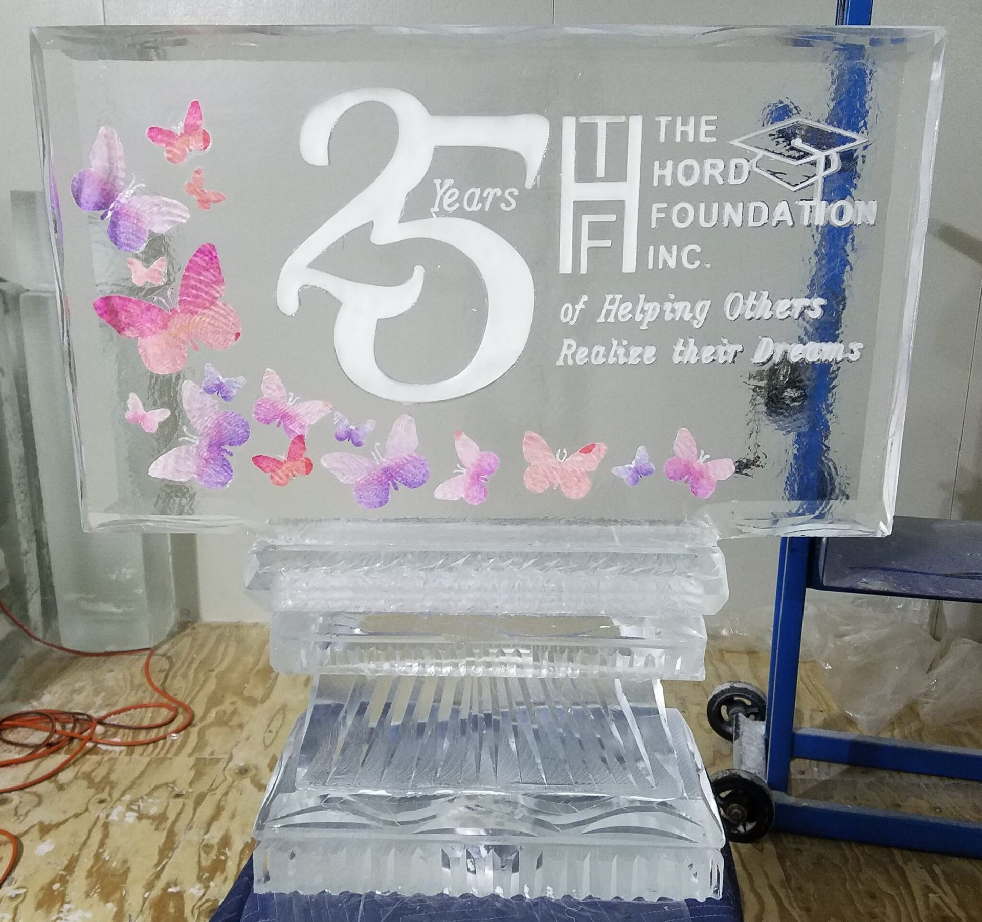 Clear acrylic award plaque with pink butterflies and “25 Years” text, honoring The Hope Foundation of India.