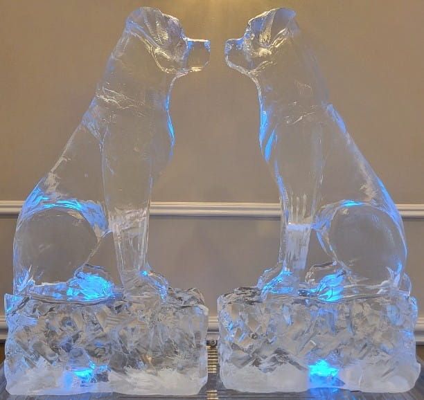 Two translucent glass cat figurines on illuminated crystal bases, facing each other
