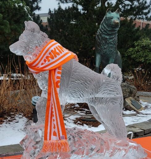 Snow-covered dog statue wearing an orange scarf in an outdoor display