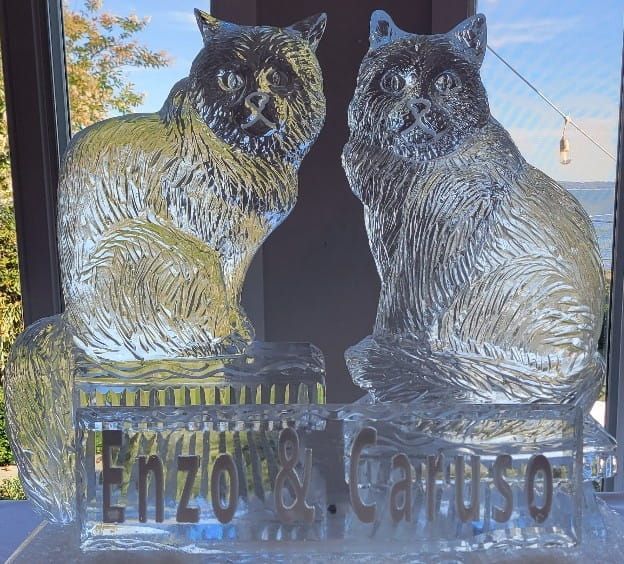 Clear glass cat plaque with two fluffy cats and the words “Fizzy & Canelo” etched below.