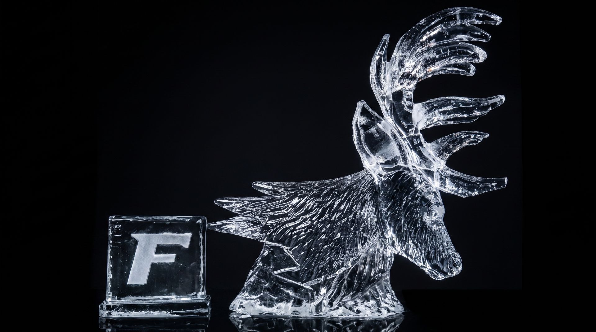 Glowing glass moose beside a block with the letter F on a black background