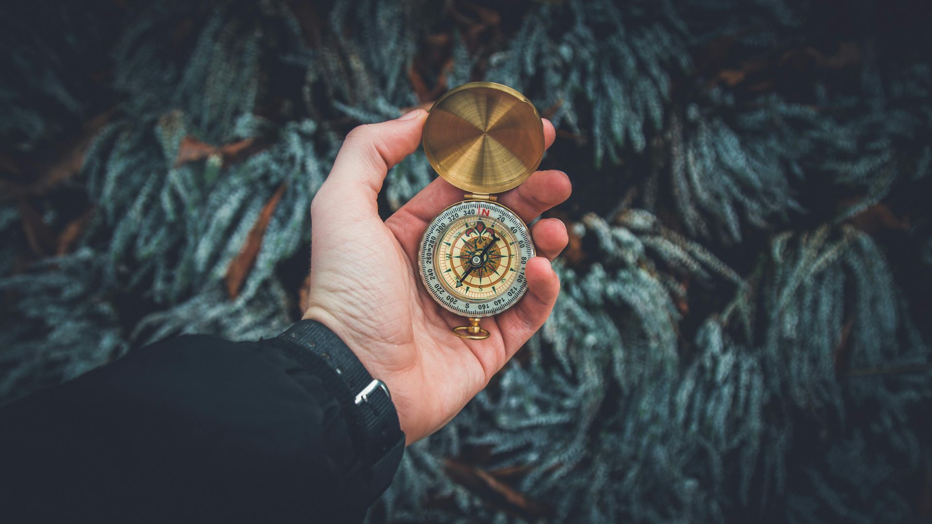Hand holding a gold compass, pointing, against blurred, textured background.