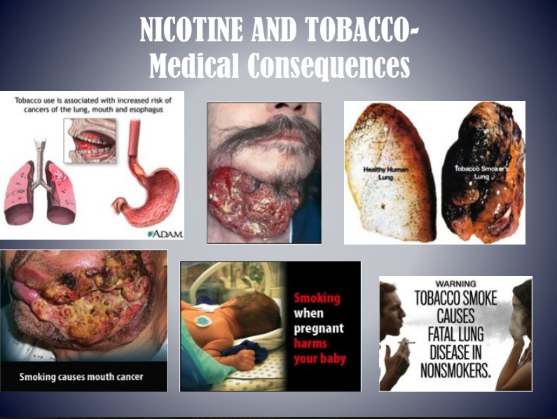 Collage of smoking-related lung and mouth damage with warning text about tobacco’s medical consequences