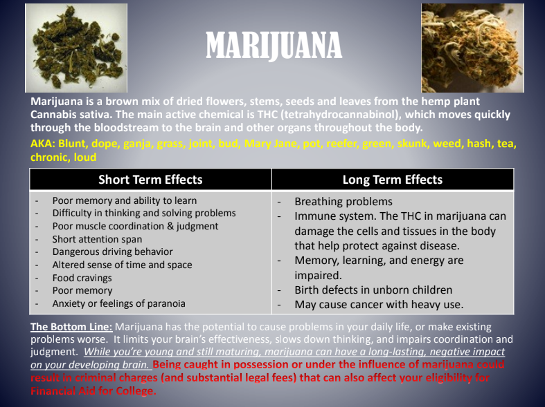 Marijuana infographic with plant photo, effects, and health risks on gray background