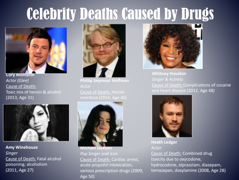 Infographic titled “Celebrity Deaths Caused by Drugs” with six celebrity headshots and captions