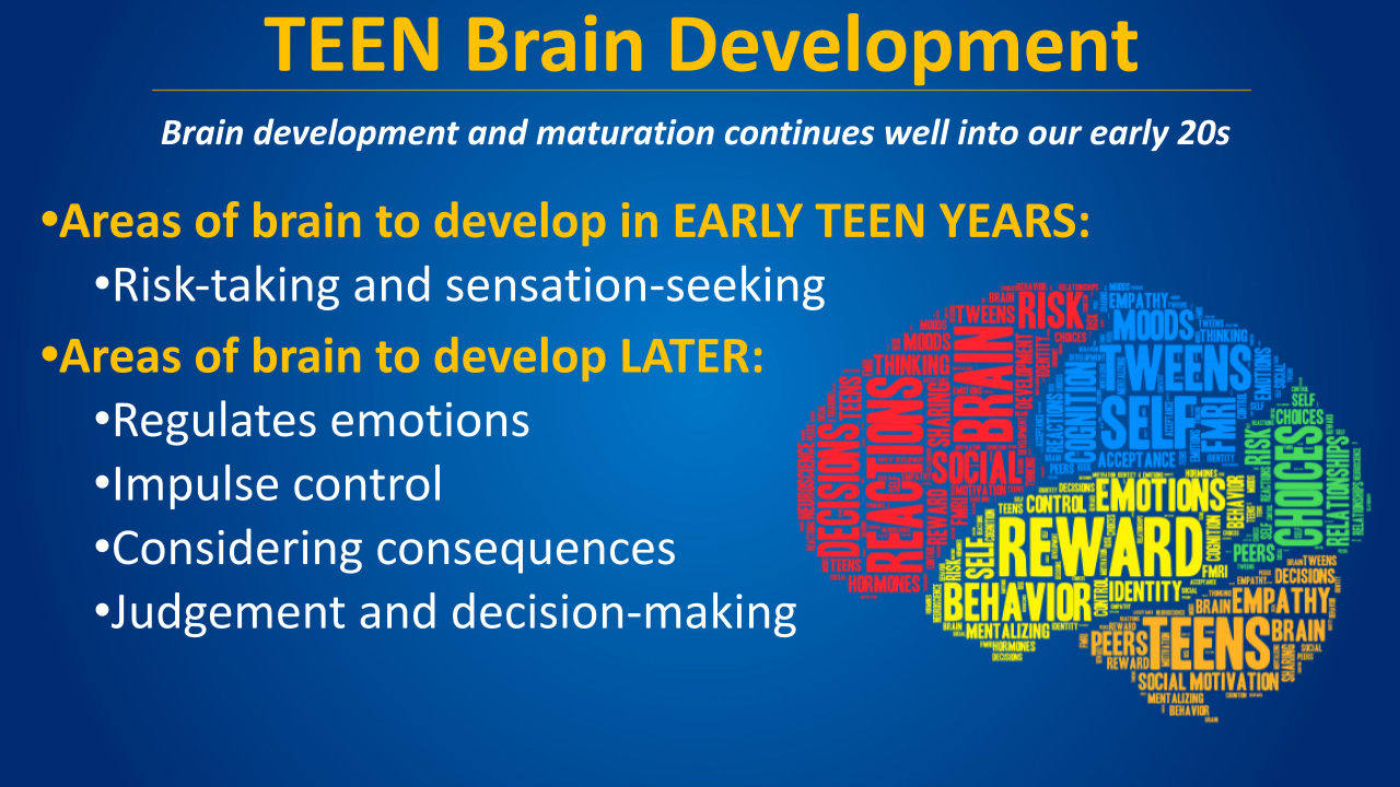 Blue slide on teen brain development with early and later brain areas and a colorful brain diagram