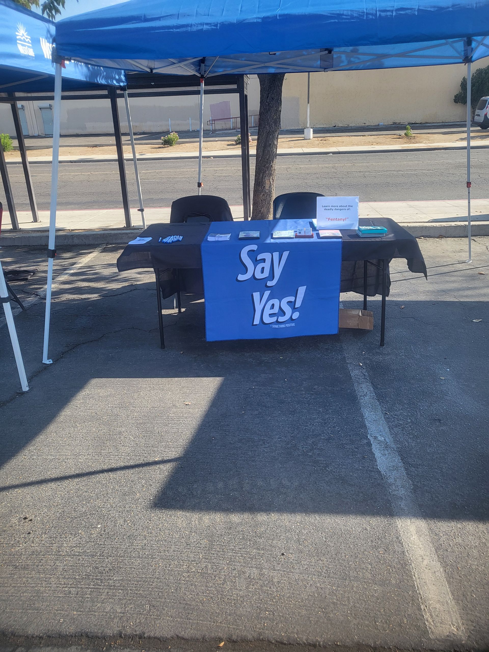 Outdoor table under a blue canopy with a blue “Say Yes!” sign and a small white display on the right.