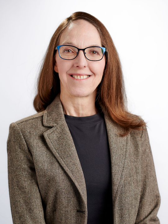 Julie Fortier, Democratic candidate for Illinois District 12